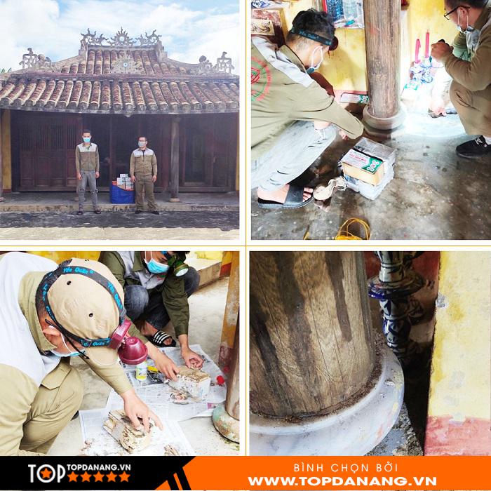 cong trinh diet moi phuc hung anh 2