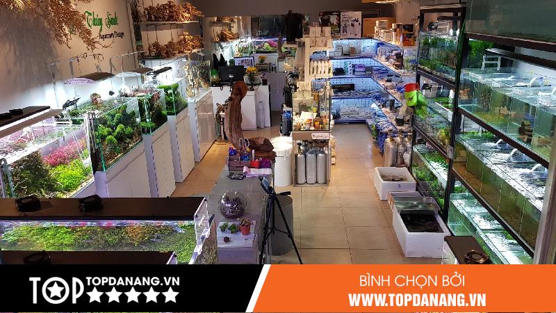 Top 7 Shop Cá Cảnh Đà Nẵng Đẹp Và Chất Lượng Nhất